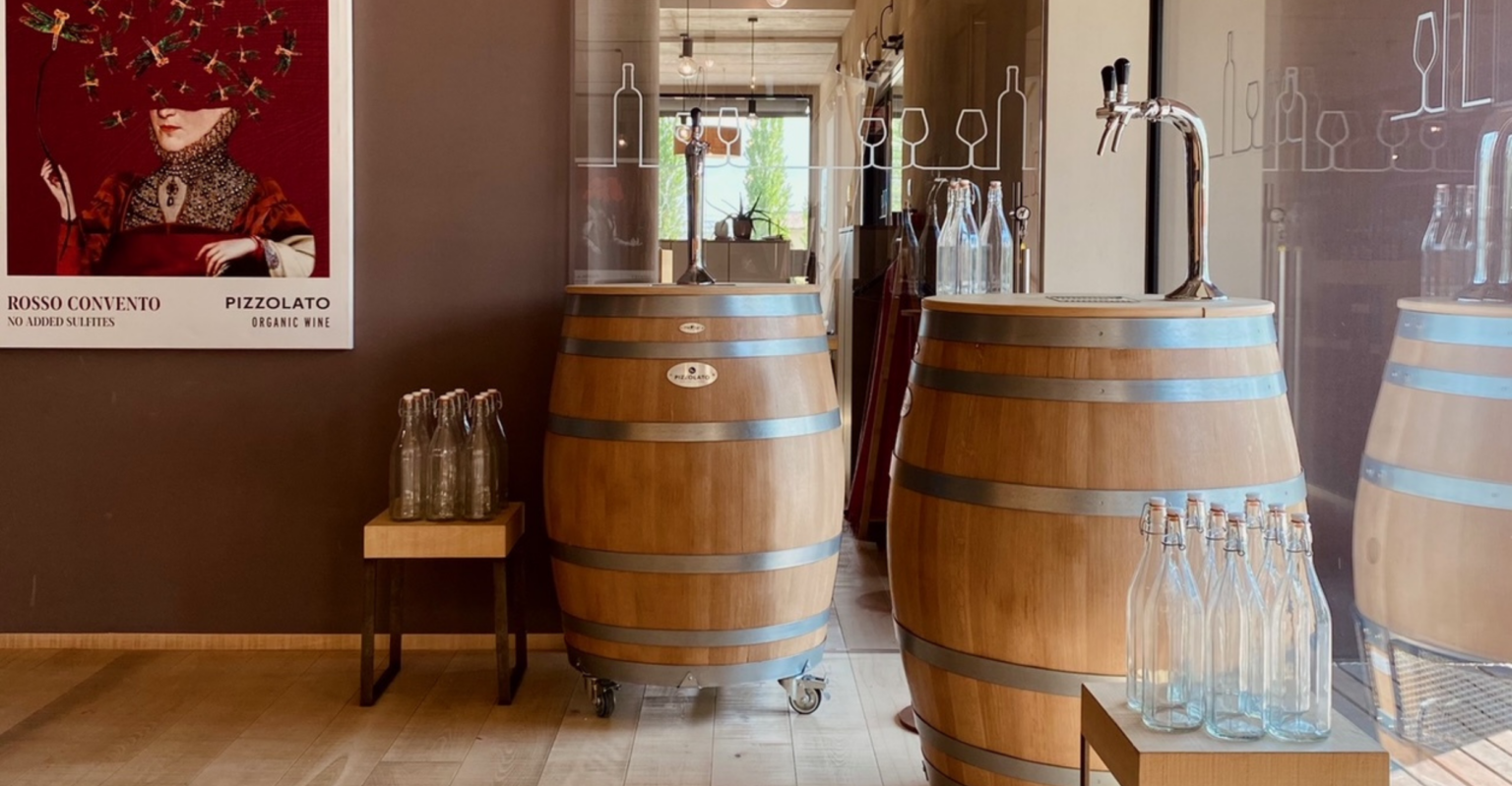 Sedano Rosso Di Orbassano - Presìdi Slow Food - Fondazione Slow Food - Foto 7