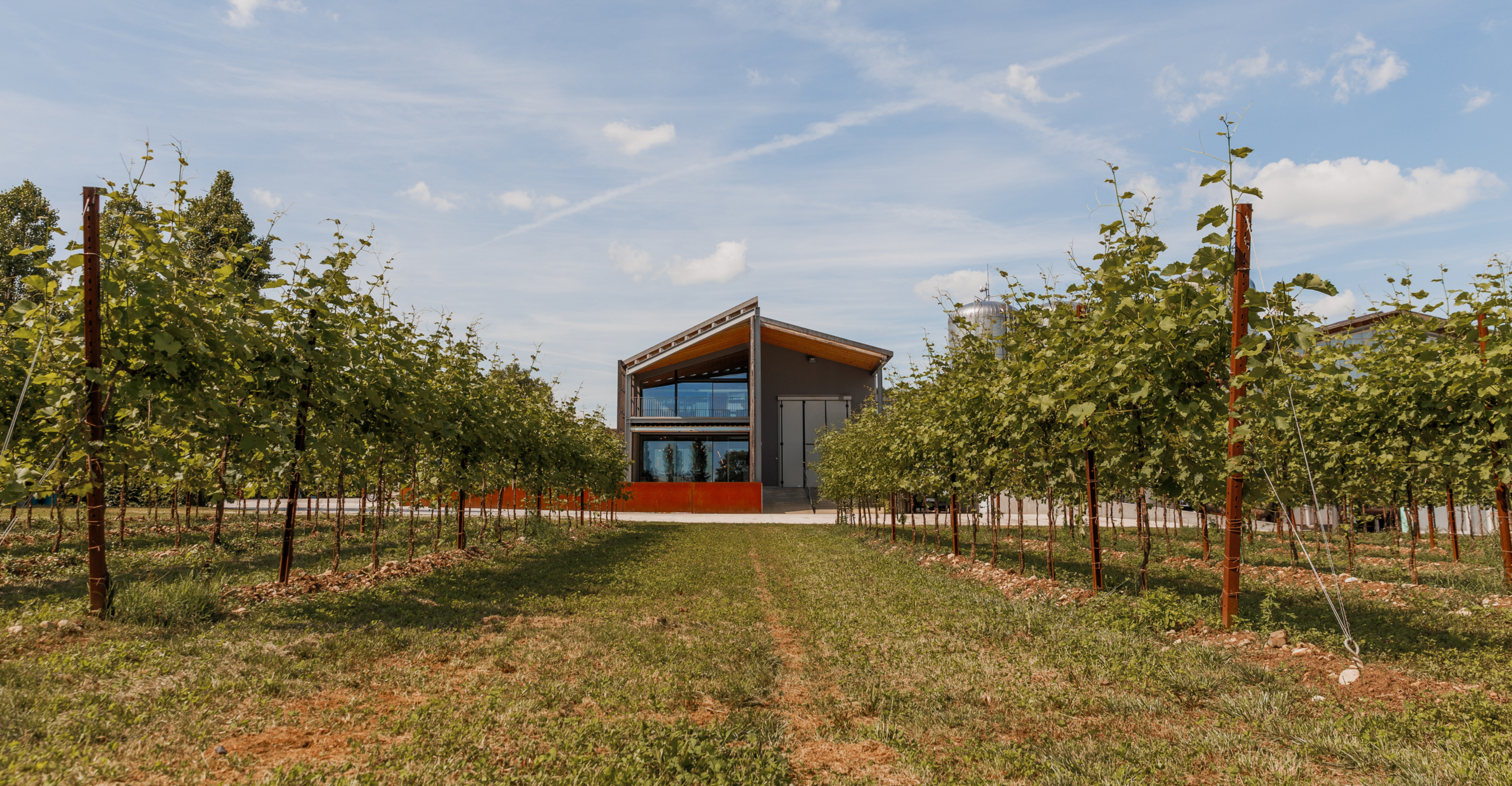 45 anni di Cantina Pizzolato Alt = 45 anni di Cantina Pizzolato