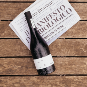 CANTINA PIZZOLATO BACK TO BASIC (7)