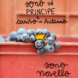 cantina pizzolato novello