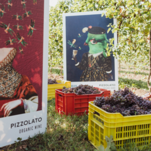 cantina pizzolato senza solfiti aggiunti (16)